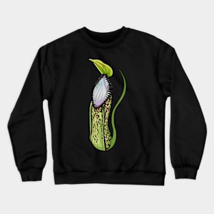 Botany Carnivorous Plant Pitcher Plant Nepenthes Hamata Crewneck Sweatshirt